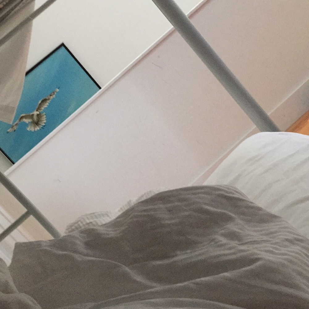 Meet your Posher, Gracie